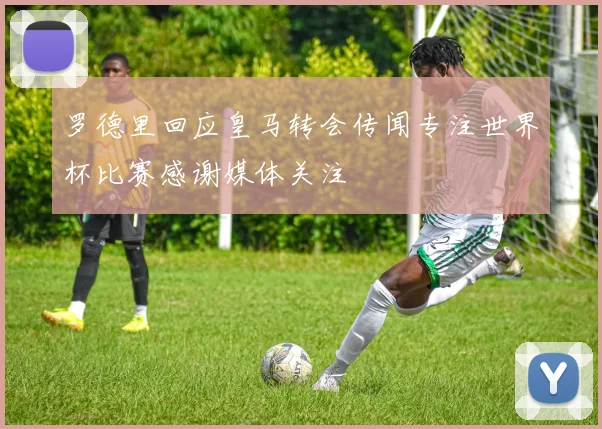 罗德里回应皇马转会传闻专注世界杯比赛感谢媒体关注