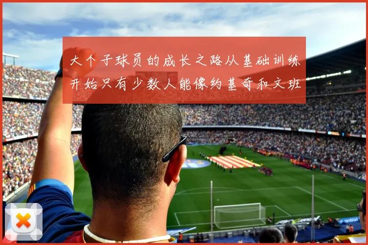 大个子球员的成长之路从基础训练开始只有少数人能像约基奇和文班那样成功
